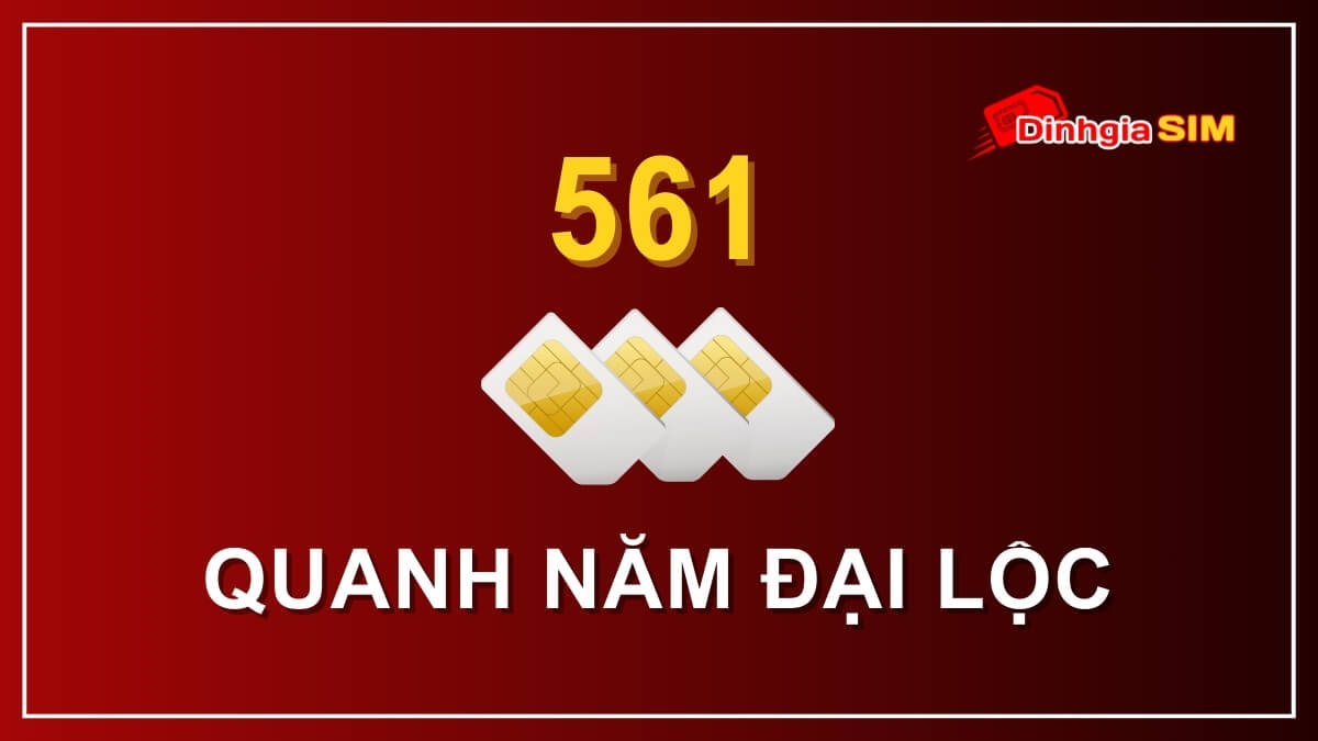 Ý nghĩa đuôi sim 561 là gì?