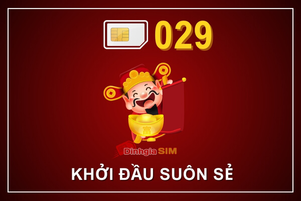 Ý nghĩa đuôi sim 029 là gì?