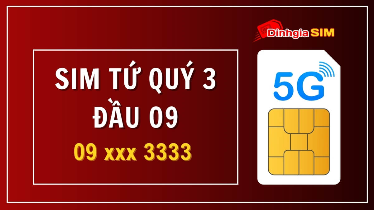 Định giá sim tứ quý 3 đầu 09 trên thị trường hiện nay