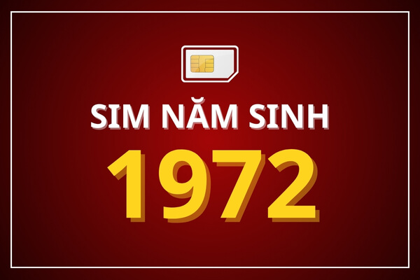 Sim năm sinh 1972 có gì đặc biệt?