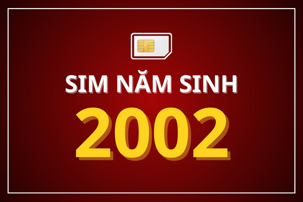 Sim năm sinh 2002 là sim gì?