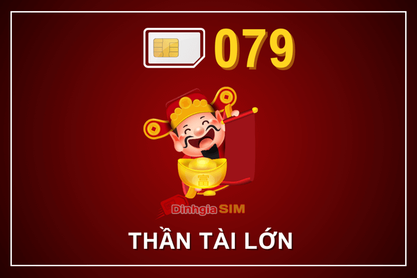 Tại sao sim đầu số 079 được nhiều săn đón?