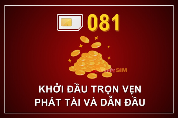 Sim đầu số 081 có đẹp không?