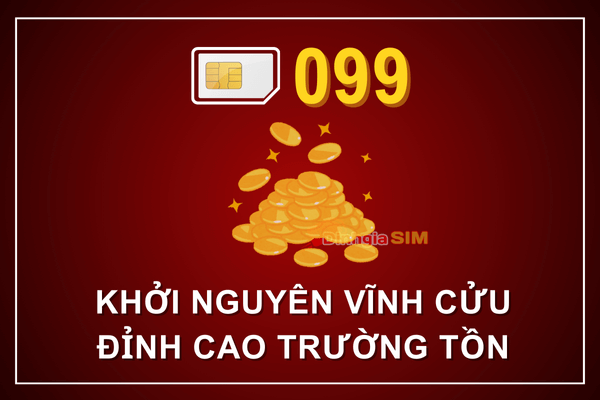 Sim đầu 099 đại diện cho điều gì?